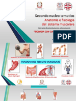 Anatomia e Fisiologia Del Sistema Muscolare