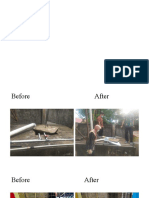 Before After PPI