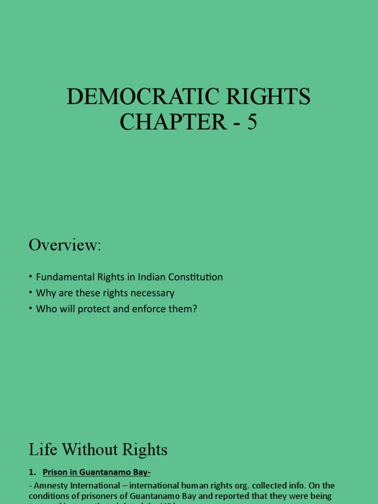 Democratic Rights | PDF | Applied Ethics | Rights