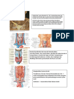 Anatomi Kelejar Tiroid Case 2