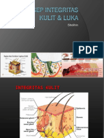 Konsep Integritas Kulit & Luka New