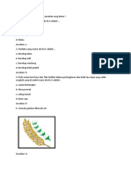 Kumpulan PH Tema 5