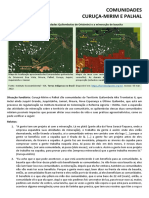 Relatos Comunidade G7-8 Curuca e Palhal