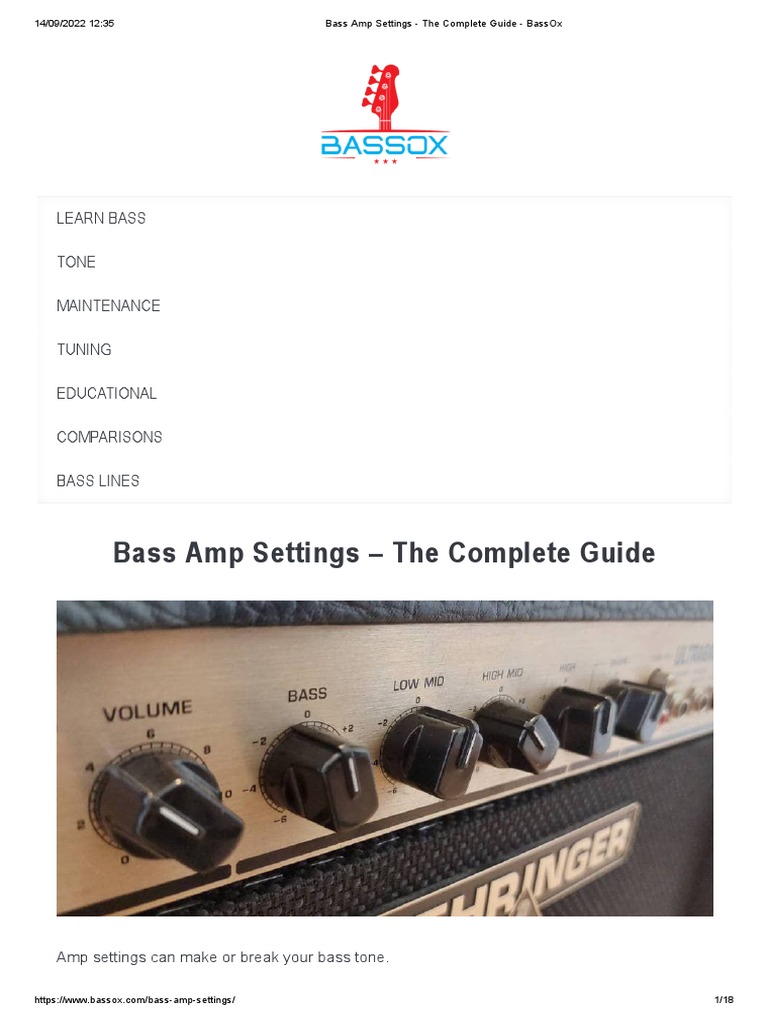Bass Amp Settings The Complete Guide BassOx PDF Equalization