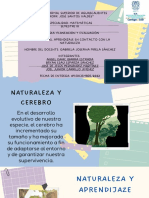 Beneficios del aprendizaje en contacto con la naturaleza