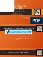 Lineamientos práctica supervisada Colegio Sthella Hernández