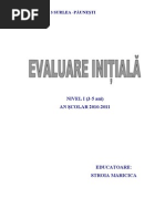 Evaluare Initiala N I