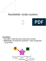 Nucleoyids I Àcids Nucleics
