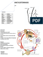 ANCYLOSTOMIASIS