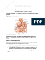 Aparatos y Sistemas Del Ser Humano 2