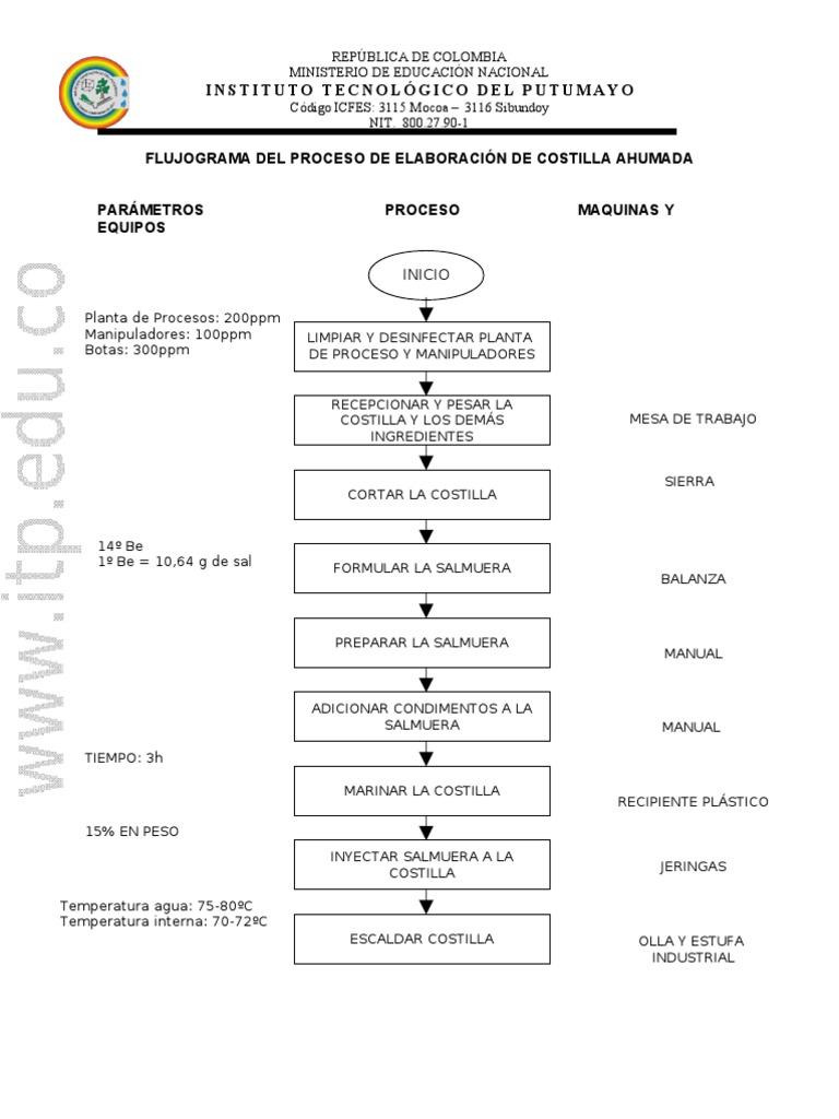 Guia Costilla Ahumada