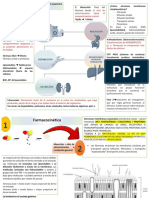 Farmacocinética: Movimiento del fármaco