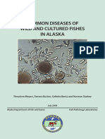 Fish Disease Book