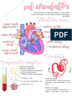Sistemul circulator #1