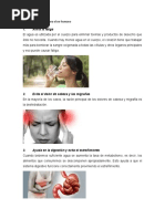 5 Beneficio Del Agua para El Ser Humano