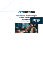 Professional Java Developer Career Starter Java Foundations Exercises %26 Supplements