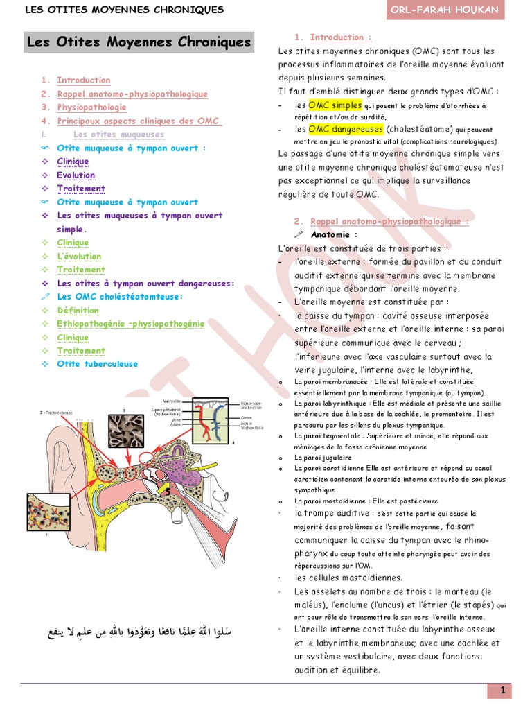 Comprendre les Otites Moyennes Chroniques | PDF | Oreille | Sciences de ...