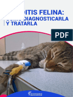 Triaditis Felina