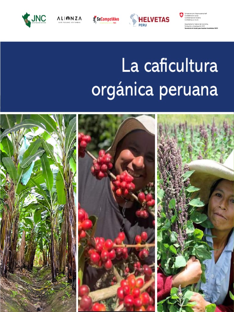 Agricultura Organica Final Pdf Agricultura Perú
