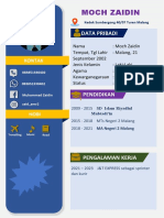 Curriculum Vitae Versi 3