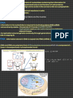 Molecular Biology Intro 