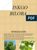 GINKGO BILOBA - Seminario de Bioquimica