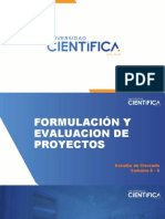 FORMULACION Y EVALUACIÓN DE PROYECTOS Semana 5