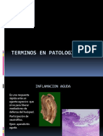 Términos en Patología