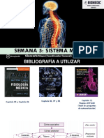 Semana 5 Vacacional