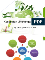 Kesehatan Lingkungan Rita Gusmiati_ progsus