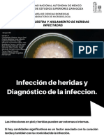 Infecciones de heridas y aislamiento de Staphylococcus aureus