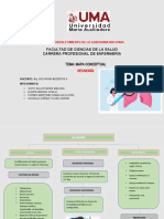 Neumonia Mapa