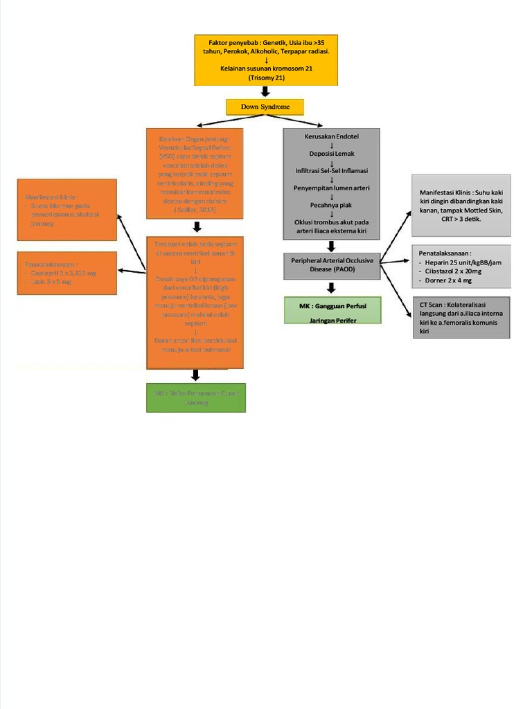 PDF Woc Down Syndrome VSD Compress PDF