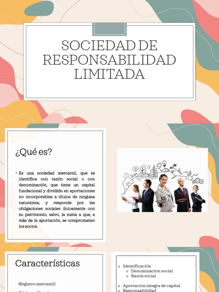 Sociedad de Responsabilidad Limitada: Guía | PDF | Negocios económicos ...