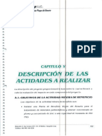 Descripcion de las Actividades a Realizar