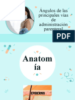 Ángulos de Las Principales Vías de Administración Parenteral - Funciones de Enfermeria