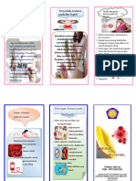 Leaflet Anemia Pada Ibu Hamil