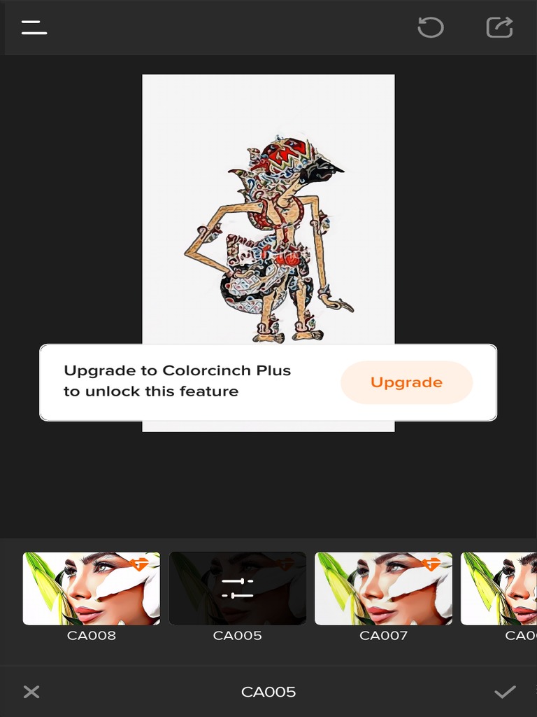 Unlock Premium Photo Features | PDF