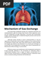 Mechanism of Gas Exchange