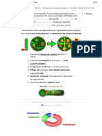 Detector de Plagiat: v. 1991 - Raportul Originalității: 28.06.2022 19:15:51