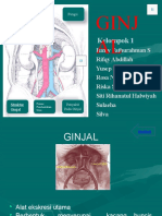 Biologi Sistem Ginjal