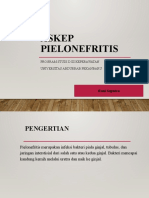 Askep Pielonefritis