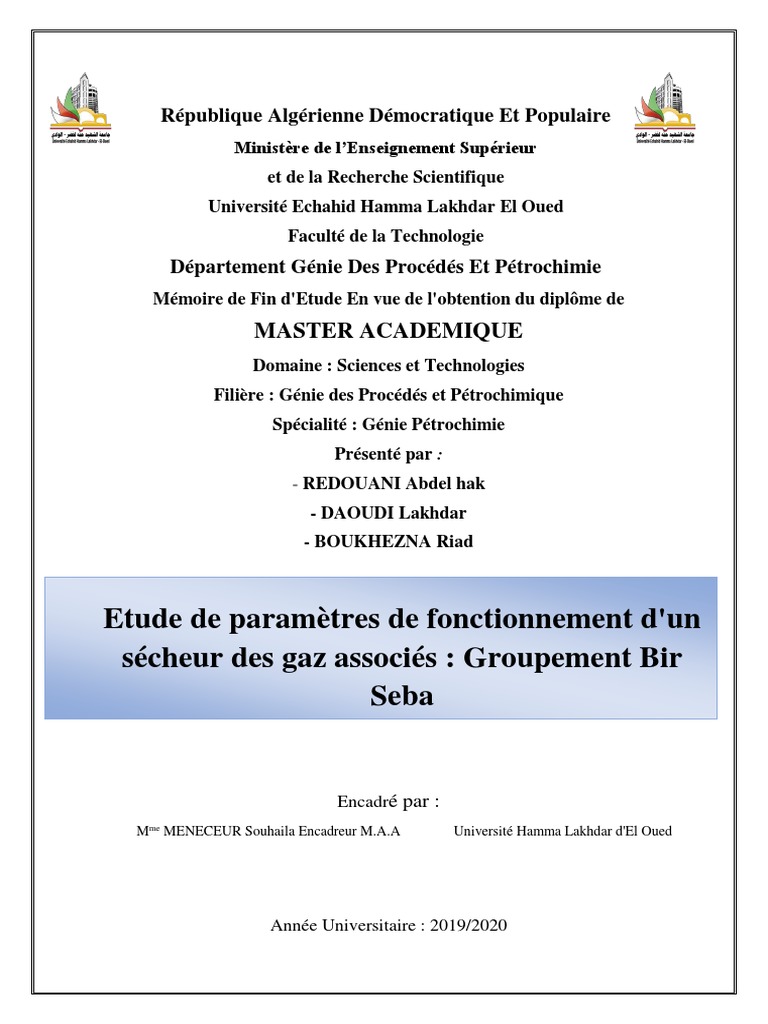 These Bir Seba | PDF | Pétrole | Gaz naturel
