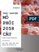 TN Mô Phôi Tân T o 2021
