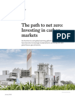 The Path To Net Zero Investing in Carbon Markets - Final