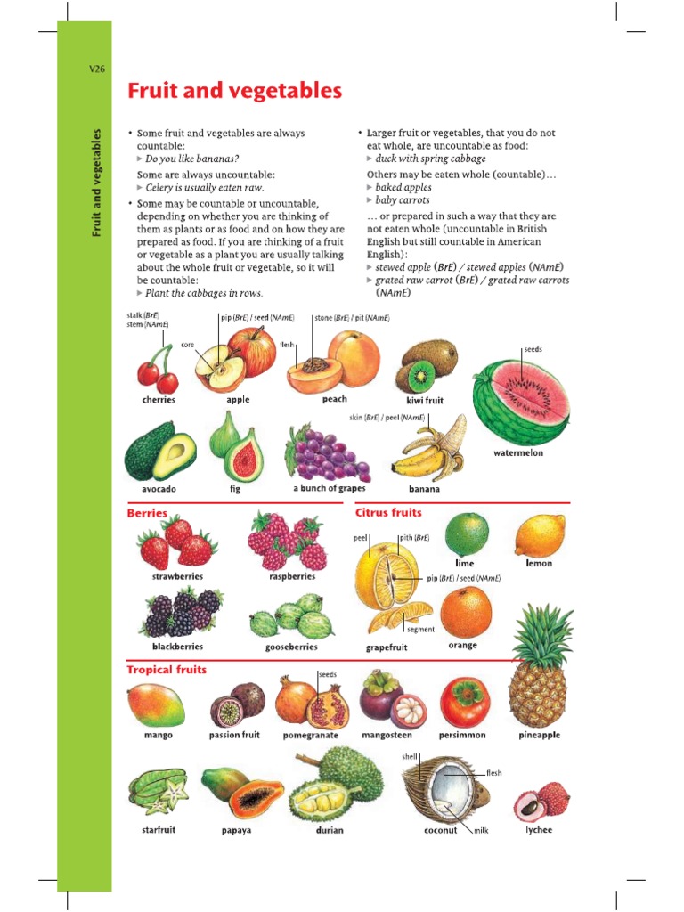Fruit and Vegetable PDF