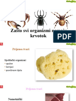 Zašto Svi Organizmi Nemaju Krvotok