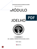 Joelho TEOT 2021- Resumo Do Moquinha