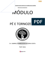 Tornozelo TEOT 2021 - Resumo Do Moquinha