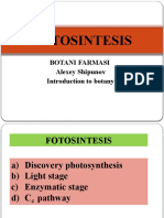 Botani FOTOSINTESIS